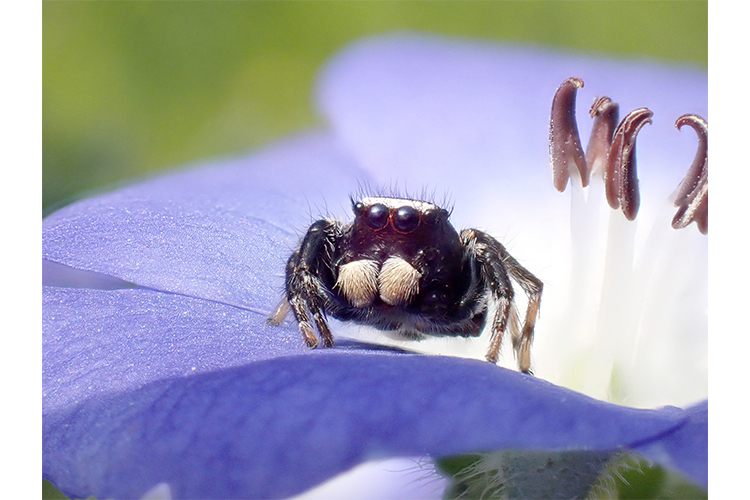 OM SYSTEM Tough TG-7 Sort