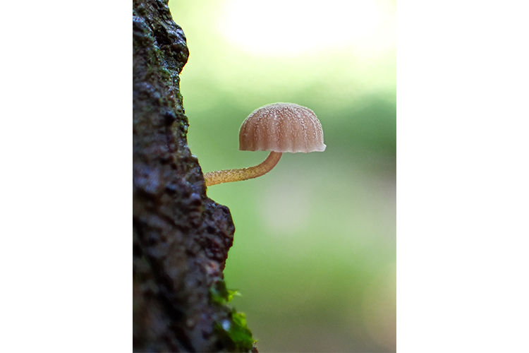 OM SYSTEM Tough TG-7 Sort