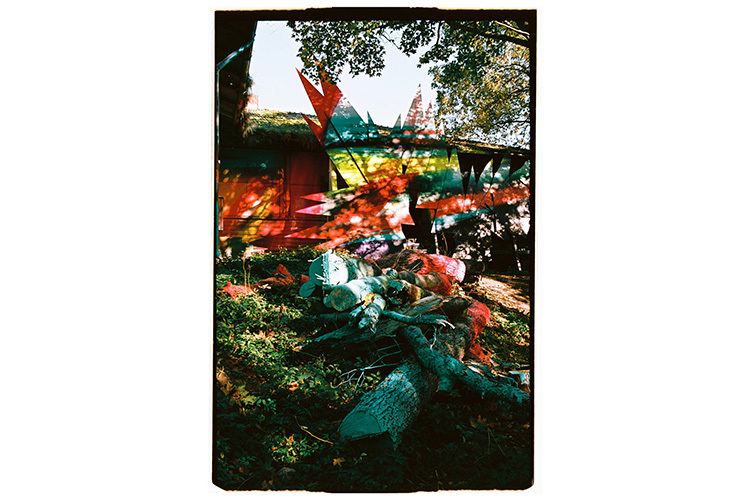 Santa Film SantaColor 100 36 Bilder