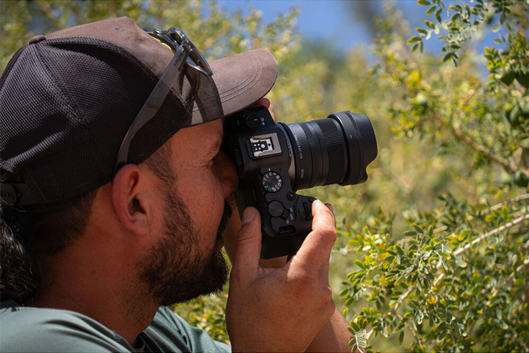 Sigma 15mm f/1.4 DC Contemporary for Canon RF