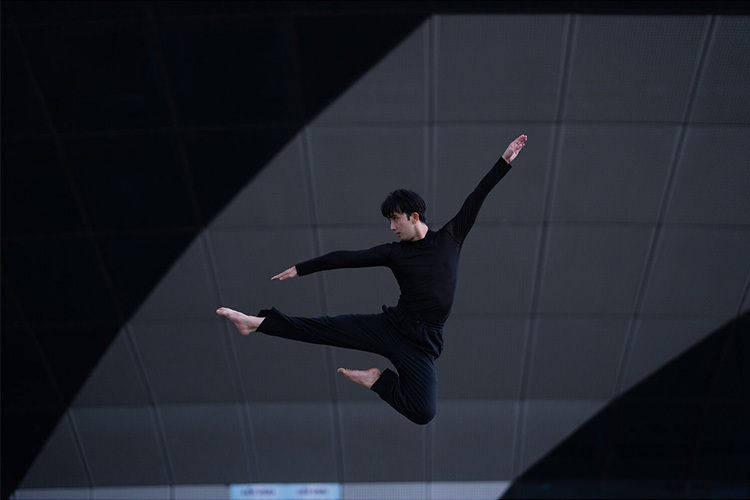 Sigma 85mm f/1.2 DG Art for Sony FE