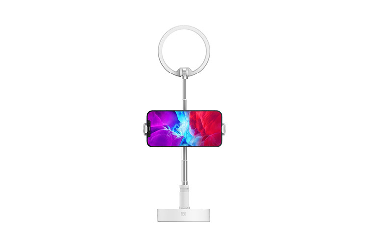 SmallRig Selection 3242 Portable Light L10