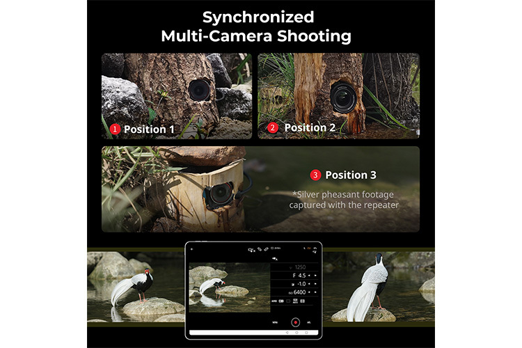 SmallRig 5566 Trådløs Video Repeater for Kamera
