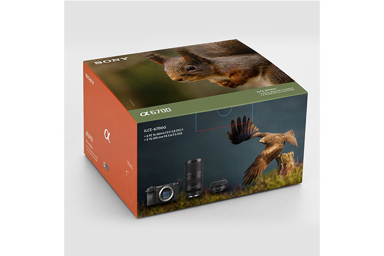 Sony A6700 Wildlife Bundle + 70-350mm