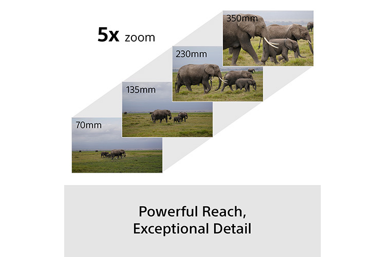 Sony A6700 Wildlife Bundle + 70-350mm