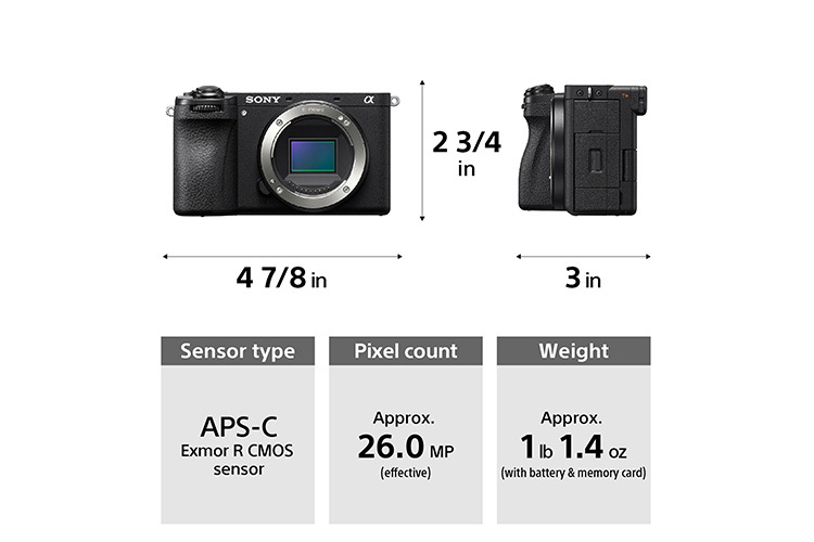 Sony A6700 Wildlife Bundle + 70-350mm