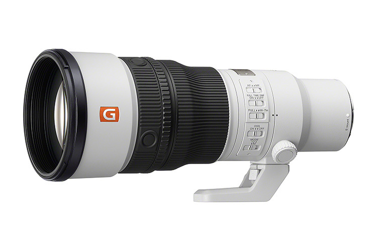 Sony FE 600mm f/6.3 GM OSS