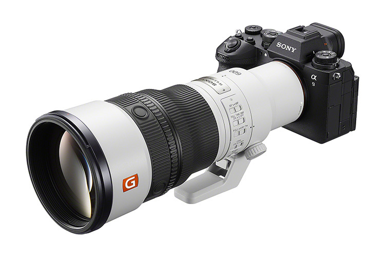Sony FE 600mm f/6.3 GM OSS