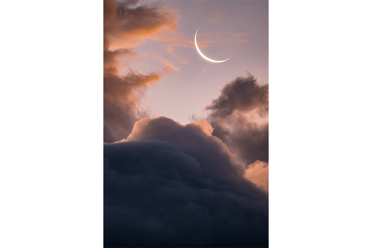 Tamron 150-500mm f/5-6.7 Di III VC VXD for Fujifilm X