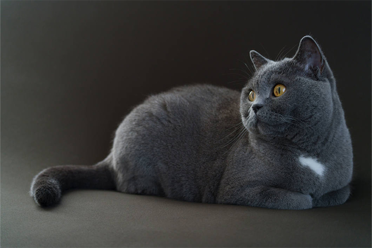 Tamron 50-300mm f/4.5-6.3 Di III VC VXD for Sony E