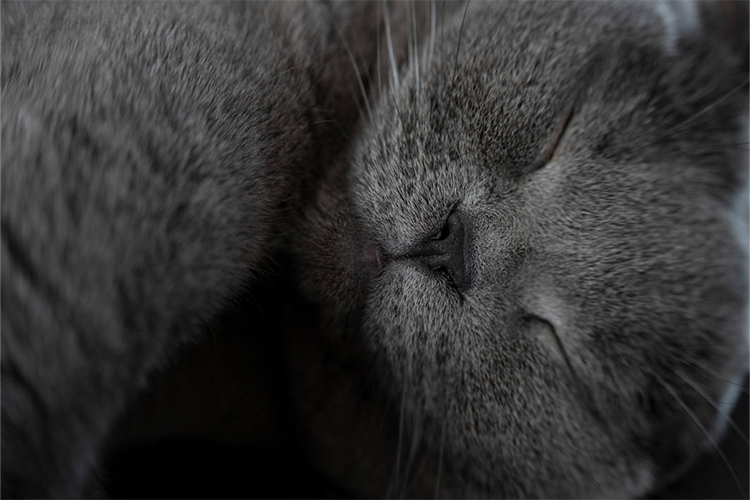 Tamron 50-300mm f/4.5-6.3 Di III VC VXD for Sony E