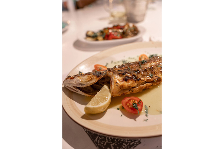 Tamron 25-200mm f/2.8-5.6 Di III VXD G2 for Sony FE