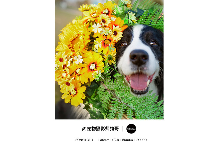 Viltrox AF 35mm f/1.2 LAB FE for Sony E