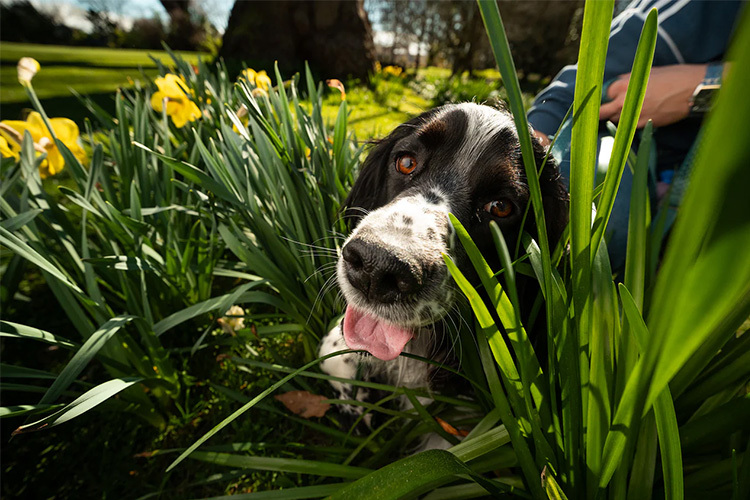 Viltrox AF 9mm f/2.8 Air for Fujifilm X