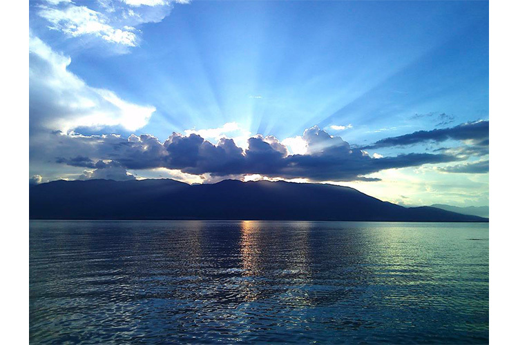 Yashica DigiMate Svart