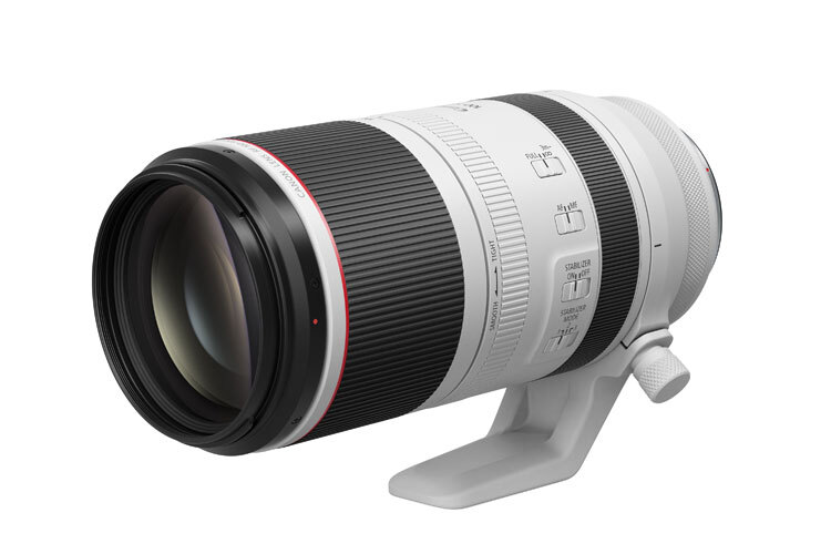 Canon RF 100-500mm f/4.5-7.1 L IS USM B-vare