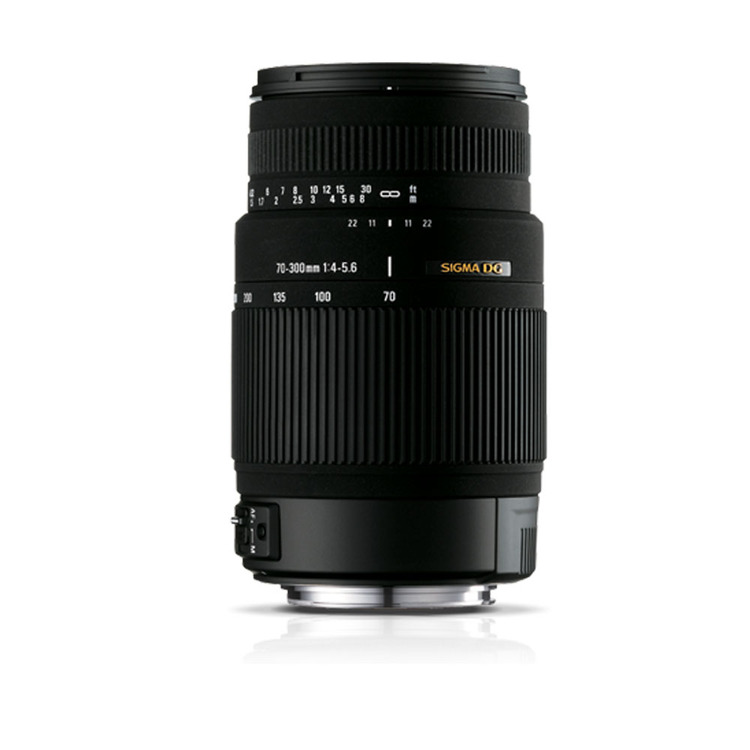 Sigma 70-300mm F4-5.6 DG OS for Sony
