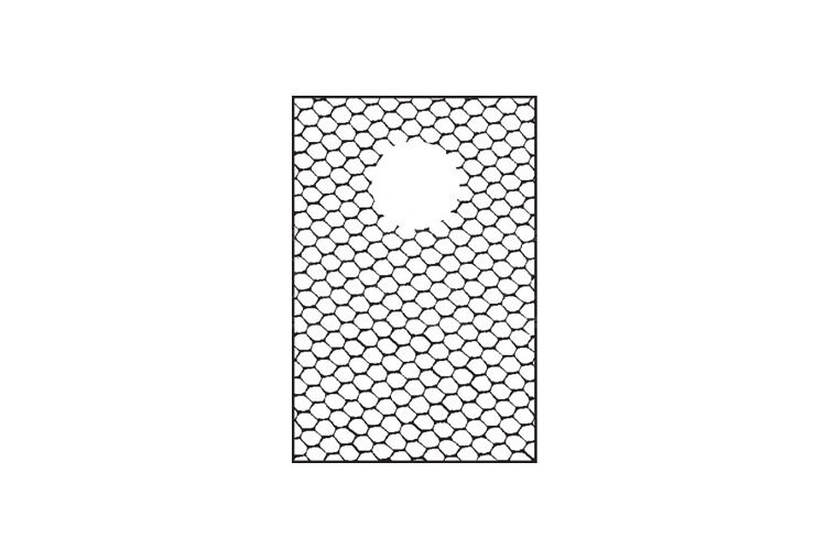 Flesh Net Flesh Net