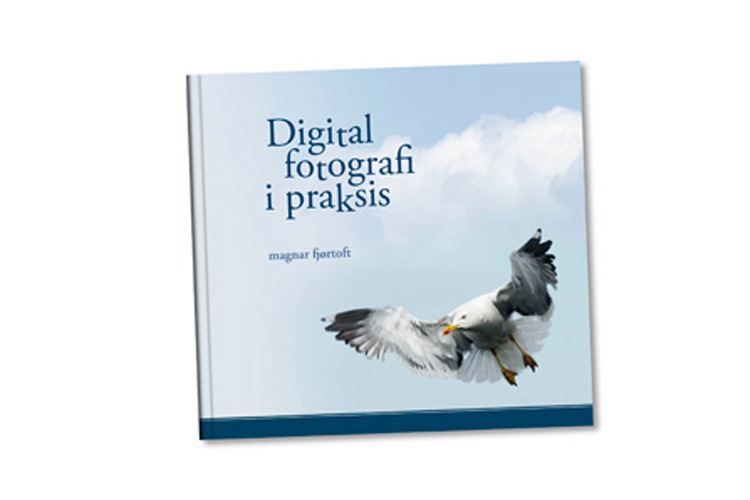 eksperimentel Thriller tro Digital fotografi i praksis 5.opplag | CEWE Japan Photo
