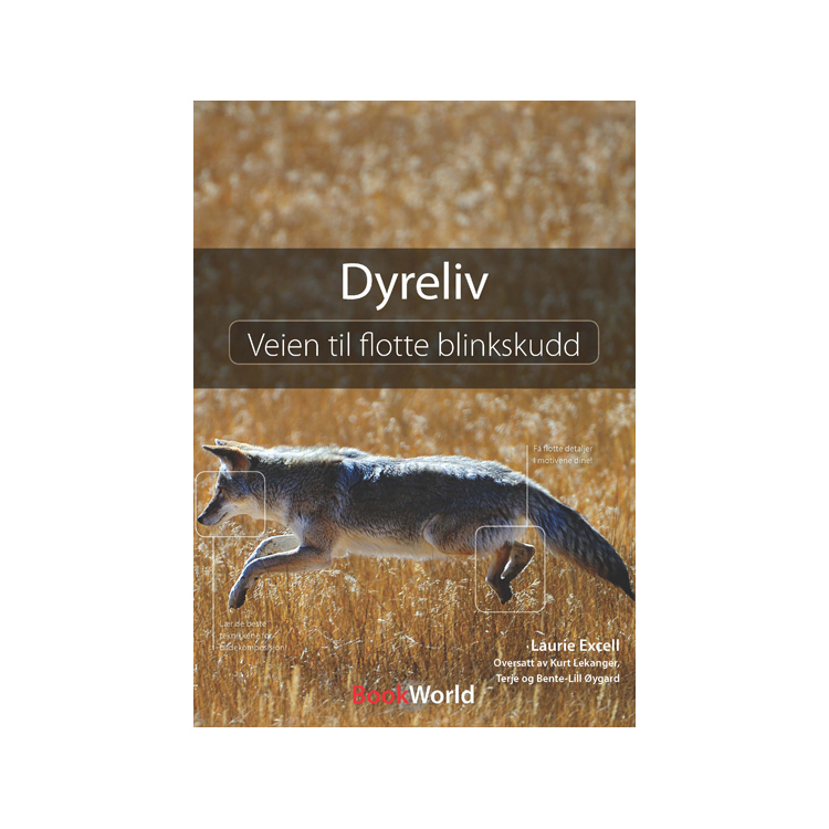 Dyreliv: Veien til flotte bilder