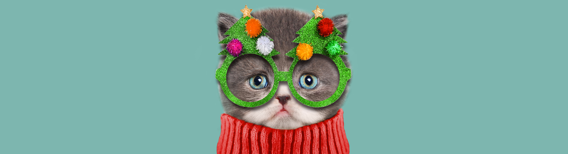 Grå katt med blå øyne som har på seg en grønn julebrille formet som juletrær med fargerike pynt og en rød strikkegenser