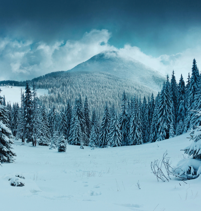 Snødekket skog med høye grantrær, en rolig fjellside og dramatisk himmel i bakgrunnen