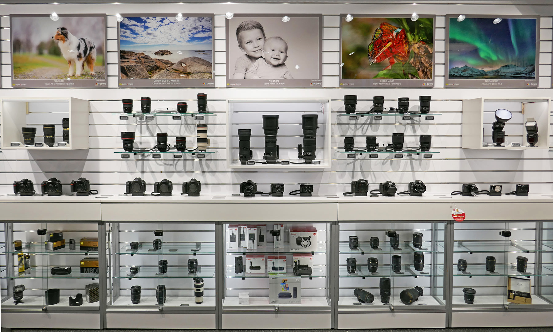 En butikkhylle fylt med kameraer, linser og tilbehør, organisert i glass- og vegghyller
