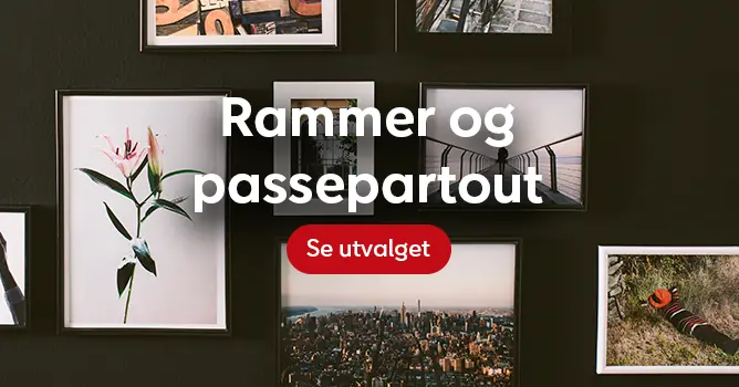 banner-sub-mid-rammer