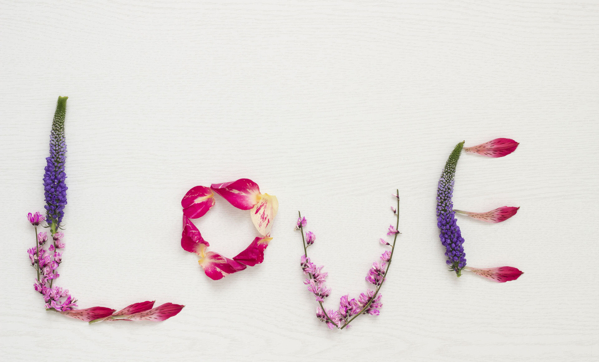 Blomsterstavet LOVE med rosa, lilla og røde kronblad og blomsterblader på hvit bakgrunn Blomsterstavet LOVE med rosa, lilla og røde kronblad og blomsterblader på hvit bakgrunn