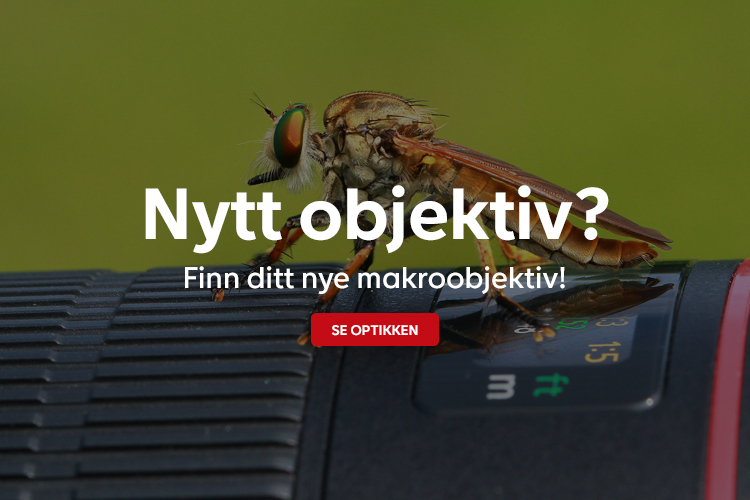 En makrofotografi av en flue som sitter på et kameramakroobjektiv