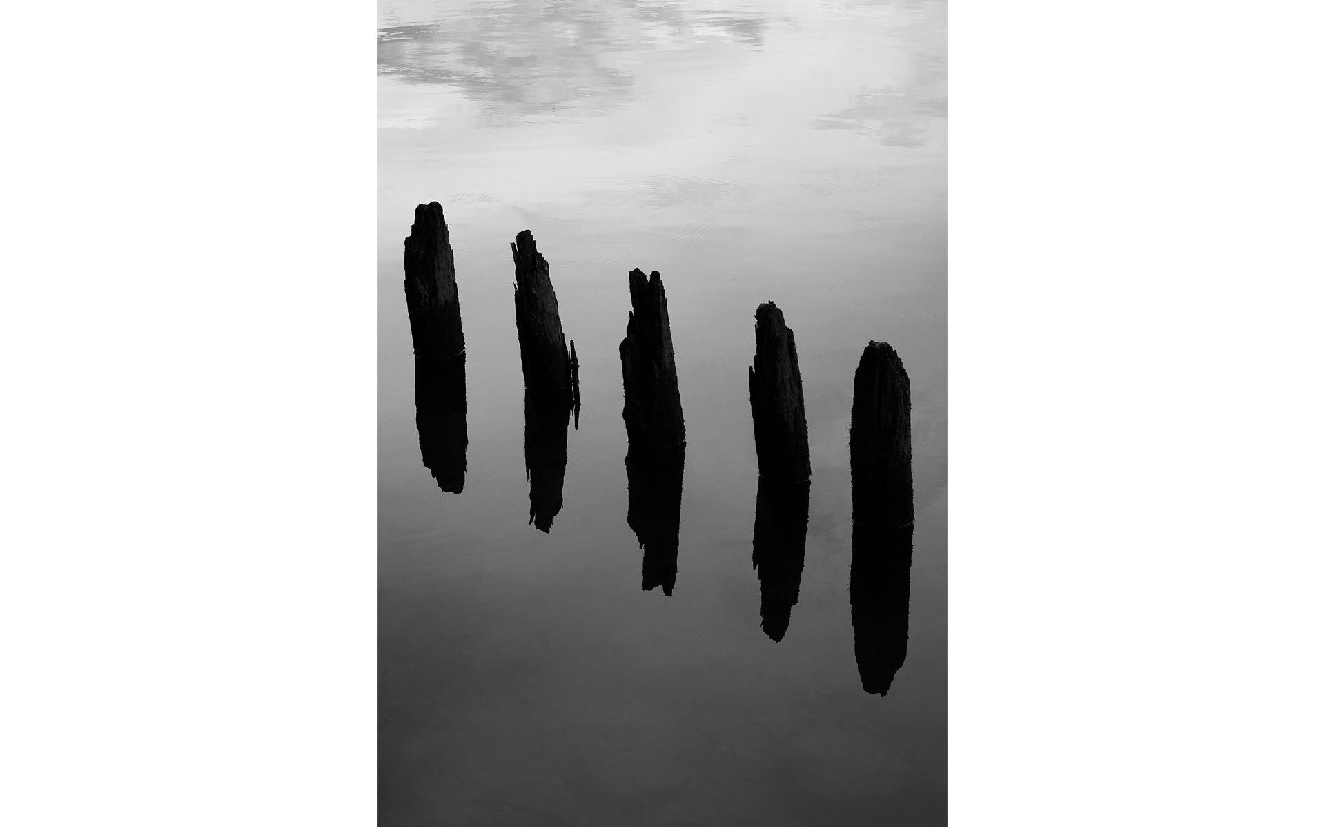 Fem svarte, værbitte trestolper stikker opp av rolig vannflate, reflektert i vannet Fem svarte, værbitte trestolper stikker opp av rolig vannflate, reflektert i vannet