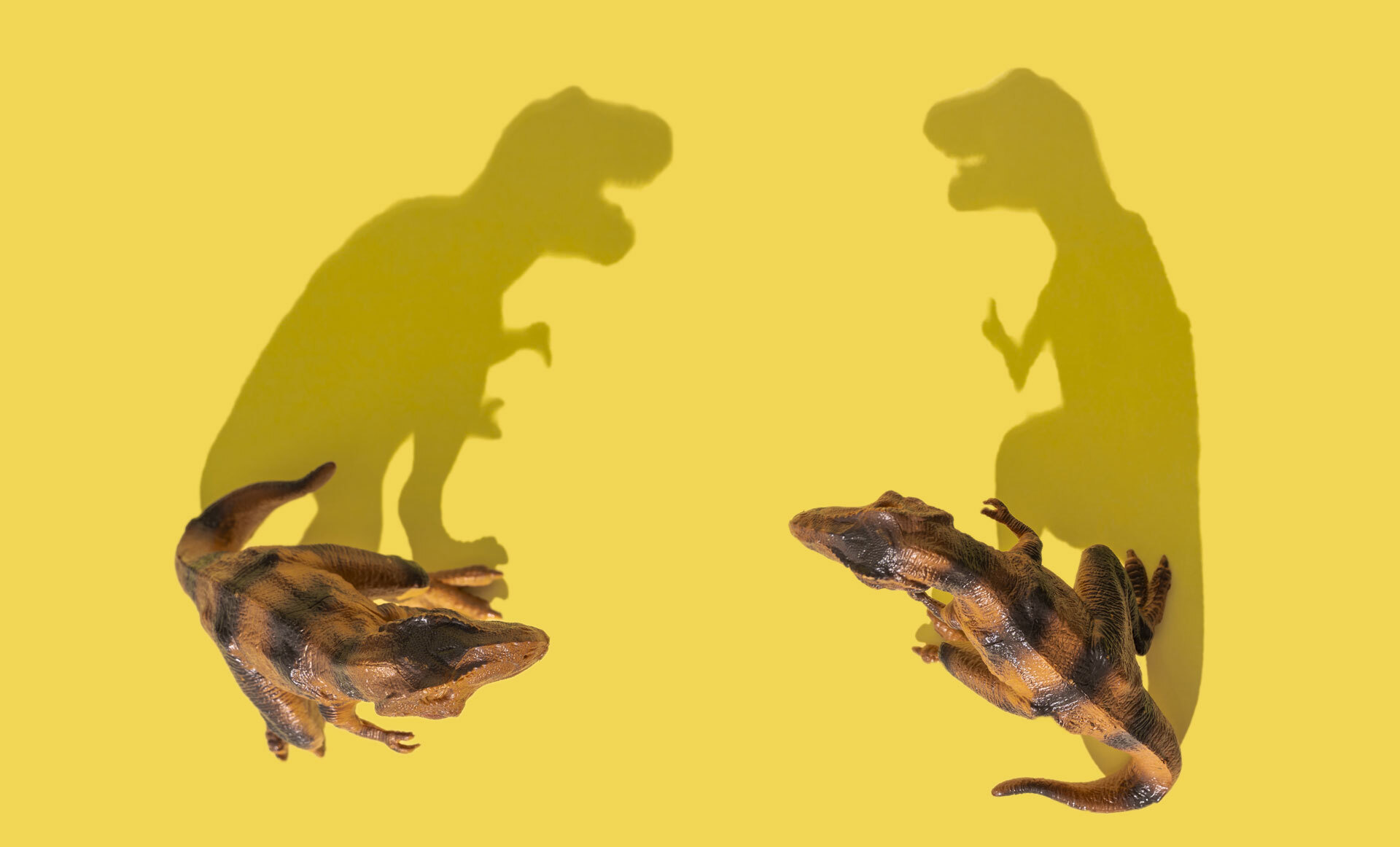 To plastdinosaurer på gul bakgrunn med skygger som ligner store T-rexer