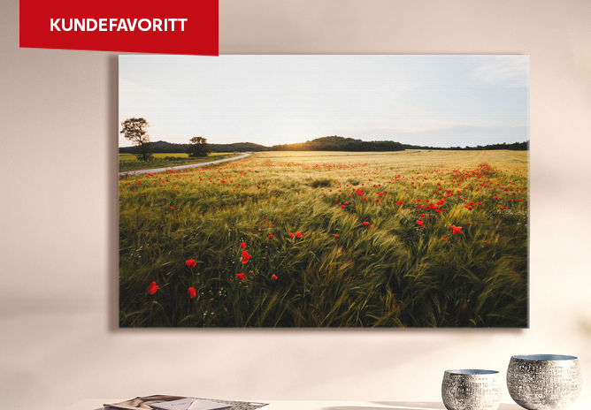 Et veggdekor i et rom, solen skinner over en åker med valmuer og en svingete vei i bakgrunnen