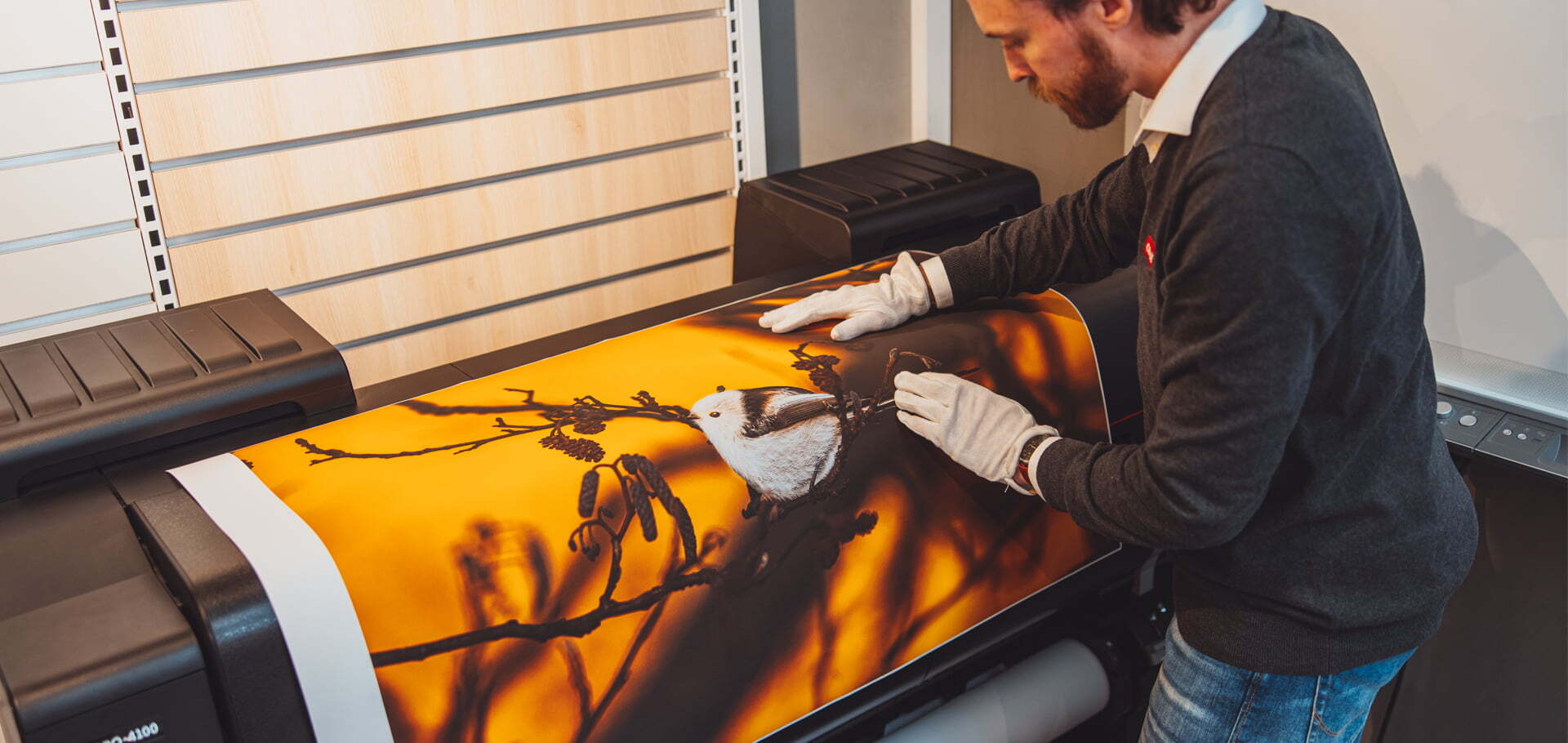 En person legger forsiktig et trykk av en fugl på en kvist med oransje bakgrunn på en storformatprinter. En person legger forsiktig et trykk av en fugl på en kvist med oransje bakgrunn på en storformatprinter.