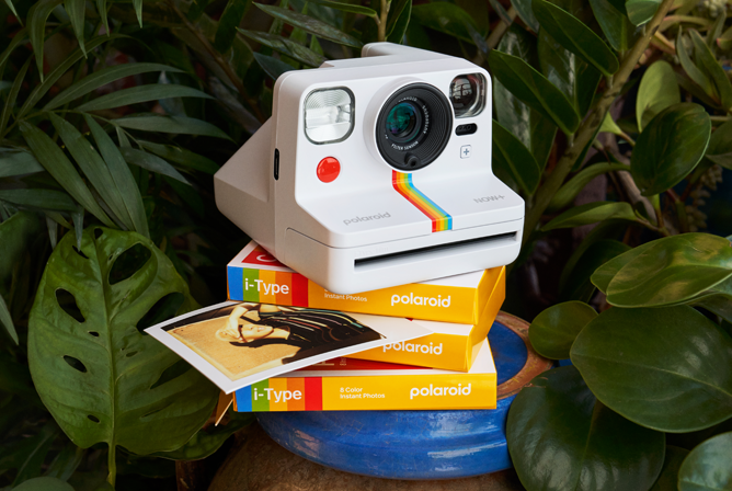 En hvit Polaroidkamera med regnbuestripe, plassert på pakker med i-Type film foran grønne planter