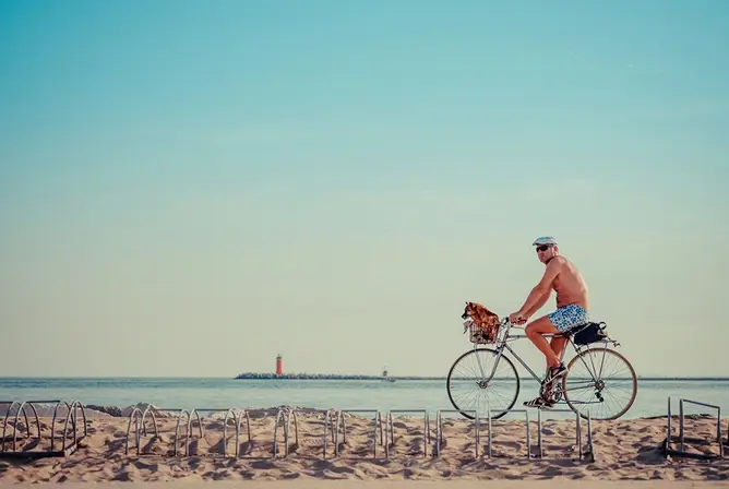 En mann i shorts og caps sykler langs en sandstrand med en hund i kurven på sykkelen