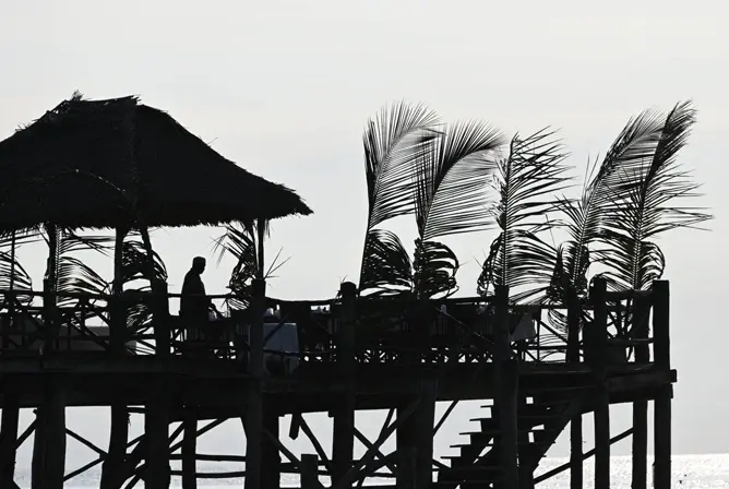 Person i silhuett på en treterrasse med palmeblader som svaier i vinden