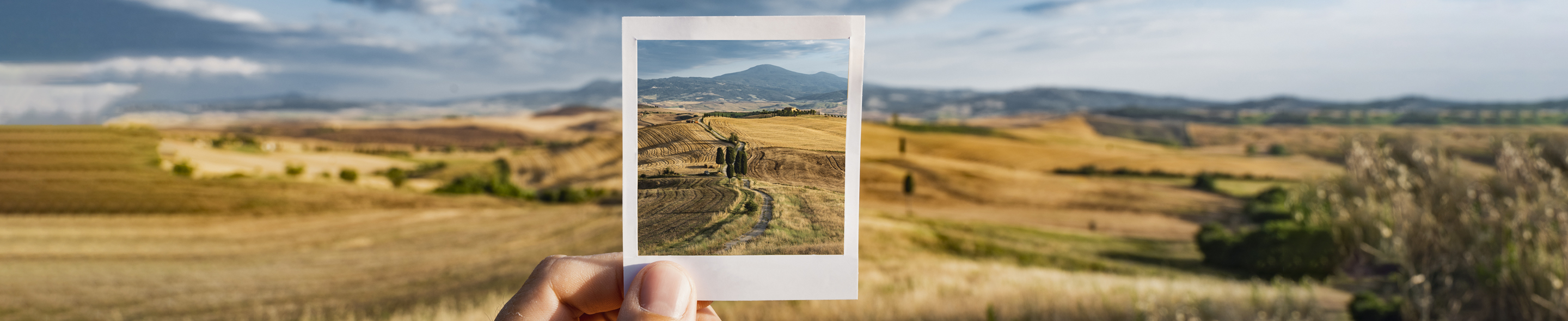 En hånd holder et polaroid-foto av et kupert, gyllent landskap med åkrer og en lang sti i midten