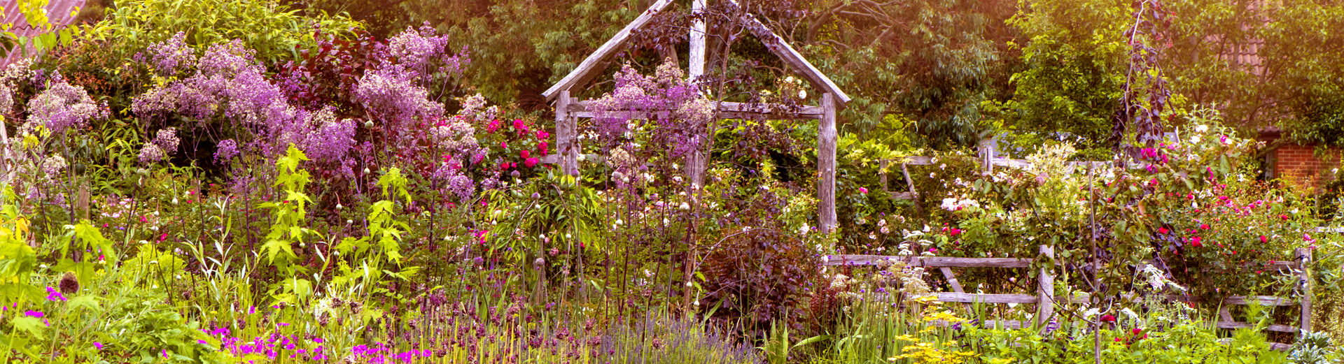 En frodig hage med fargerike blomster, grønne busker og en rustikk trepergola i sentrum En frodig hage med fargerike blomster, grønne busker og en rustikk trepergola i sentrum