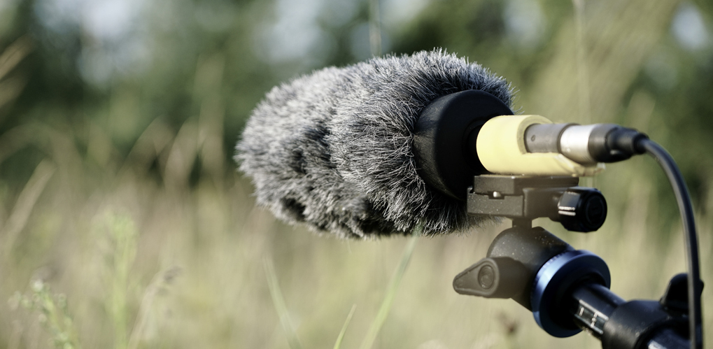 En mikrofon med vindbeskyttelse står oppstilt i et grønt område med uskarp bakgrunn