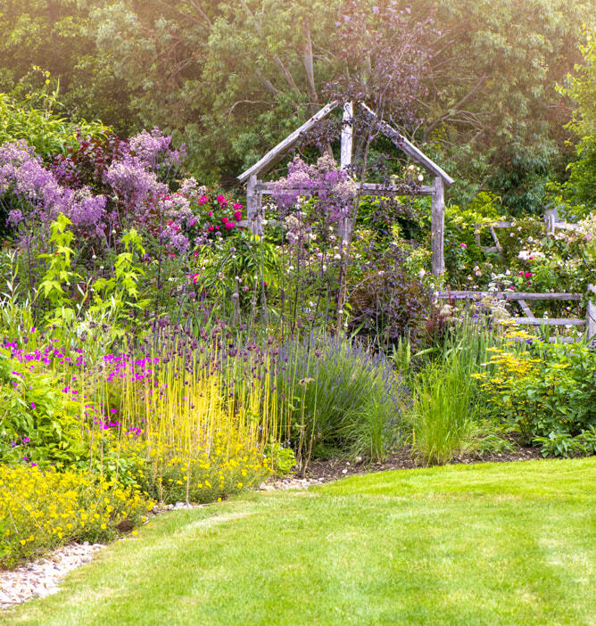 En frodig hage med blomster i gule, lilla og rosa nyanser samt en ramme av et gammelt trehus i bakgrunnen