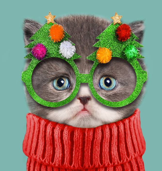 Grå katt med julehodepynt formet som grønne juletrær med glitter og stjerner, iført en rød strikkegenser