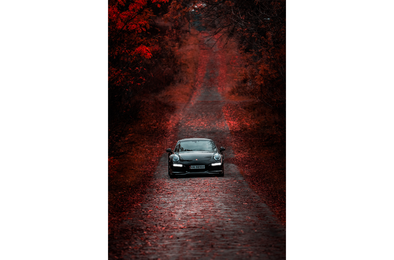 Svart sportsbil kjører på smal, brolagt vei omgitt av mørkerøde høstblader