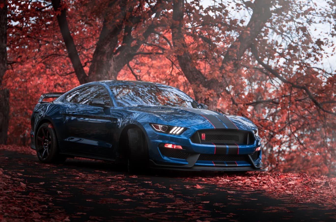 Blå sportsbil parkert på vei omringet av røde høstblader og trær