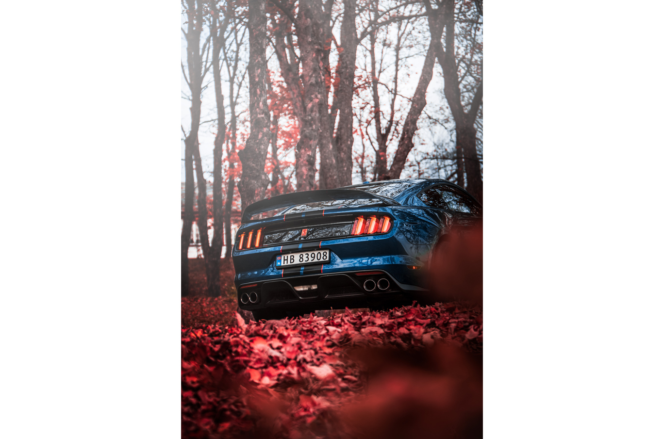 Blå sportsbil sett bakfra, omgitt av høstfargede røde blader og trær i skogen