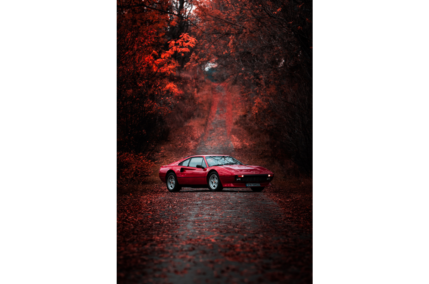 Rød sportsbil parkert på en smal grusvei omgitt av høstfargede trær