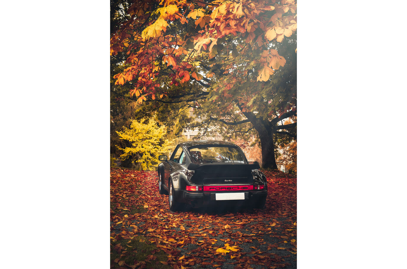 En svart Porsche 911 Turbo parkert på en sti, omgitt av gyldne og røde høstblader og store trær