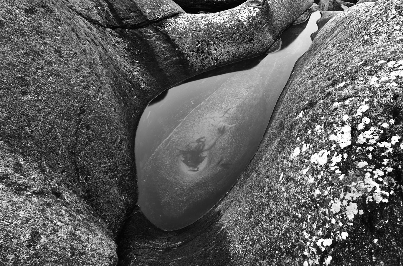 Vannpytt omgitt av glatte steiner, med tangsiluett synlig under vannflaten