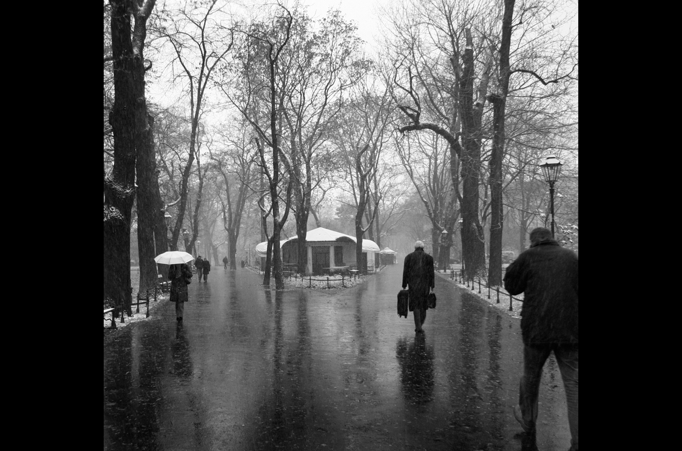En sjarmerende park med nakne vintertrær, mennesker som går med paraplyer og myk snø som daler ned
