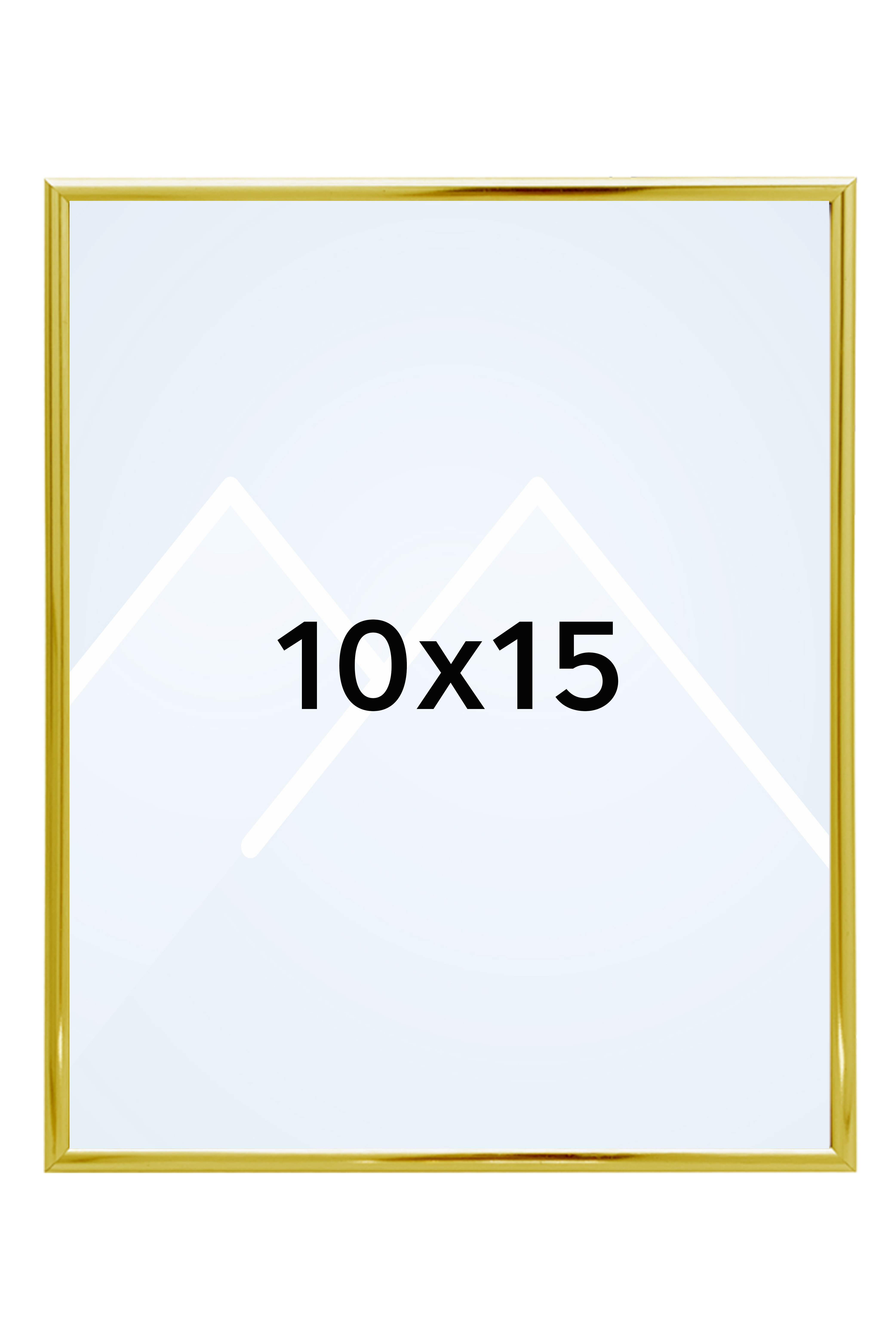 Focus Lily Bilderamme. - Gull, 10x15